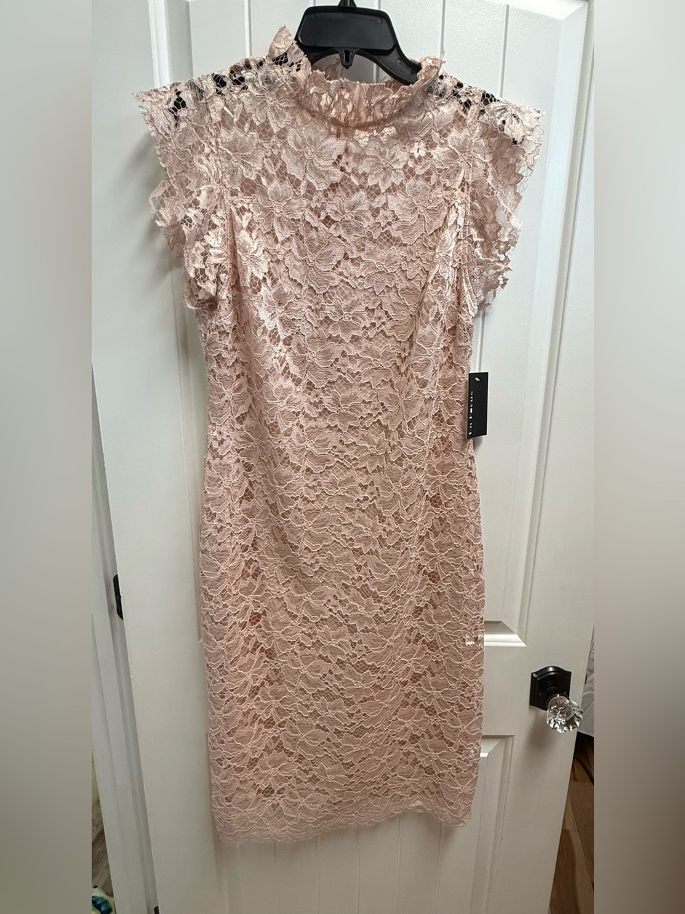 NWT Enfocus Studio Mauve Cap Sleeve Lace Overlay Sheath Dress Mock Neck Sz 6